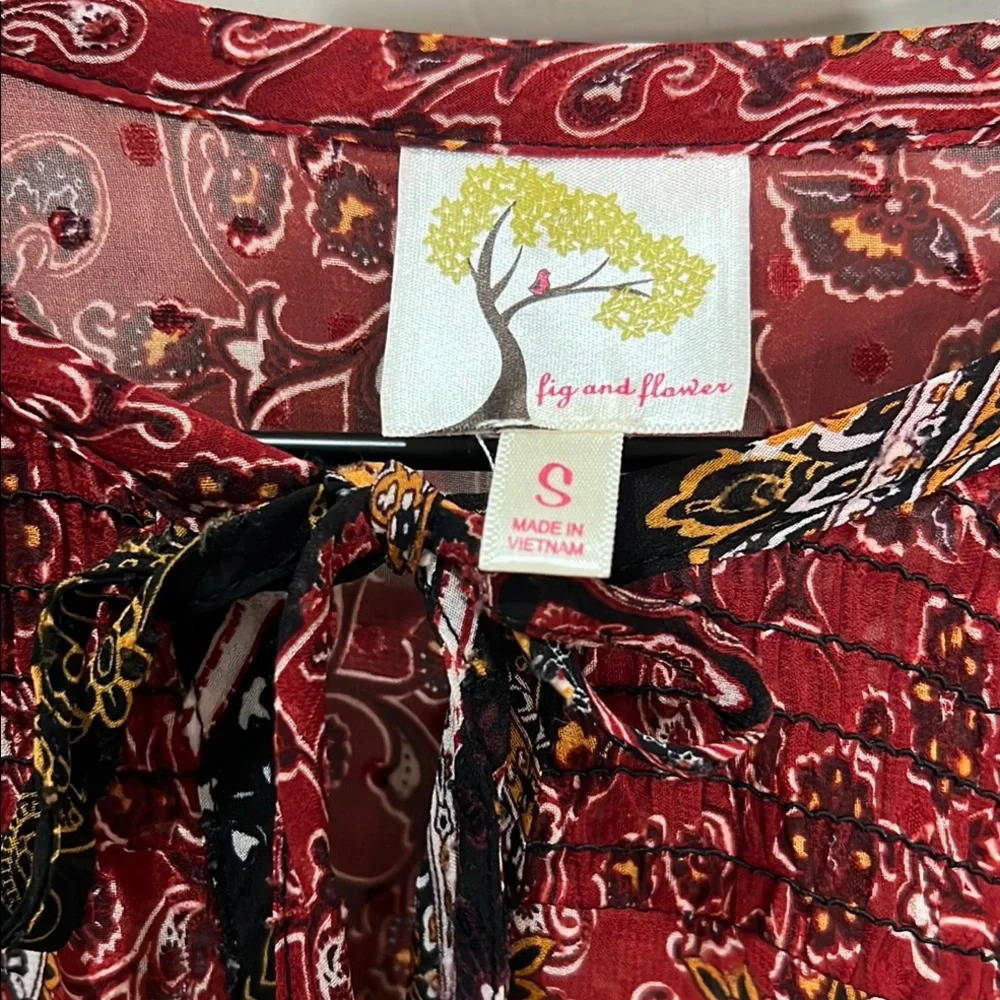 Fig & Flower Anthropologie Dress Sheer Boho Paisley Bishop Maxi Fall Rust Brown - Picture 5 of 16